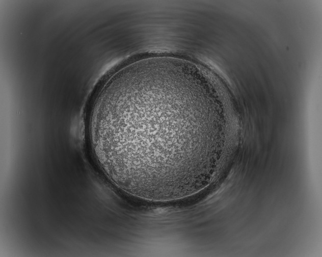 X0000088230584200705221826