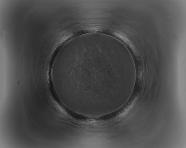 X0000088230585200705221826