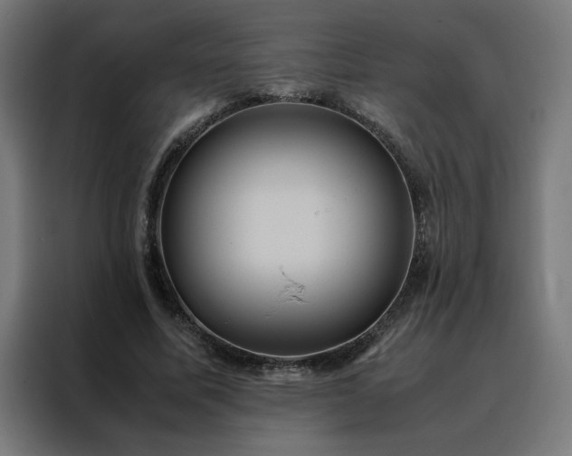 X0000088230587200705221826