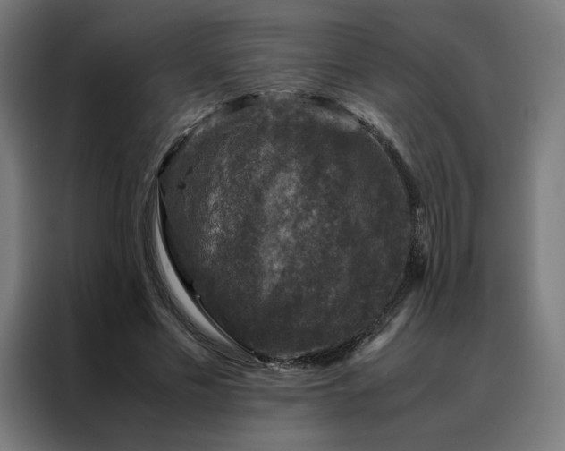 X0000088230589200705221826