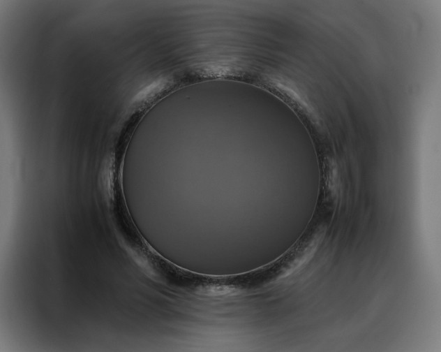 X0000088230590200705221826