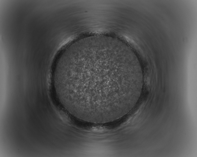X0000088230591200705221826