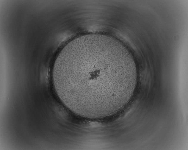 X0000088230592200705221826