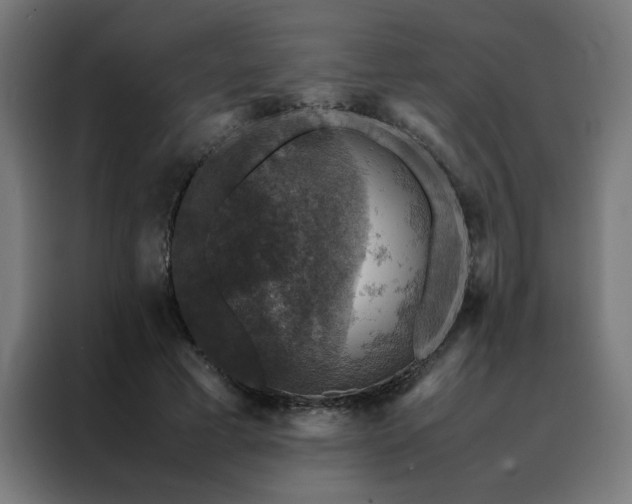 X0000088230593200705221826