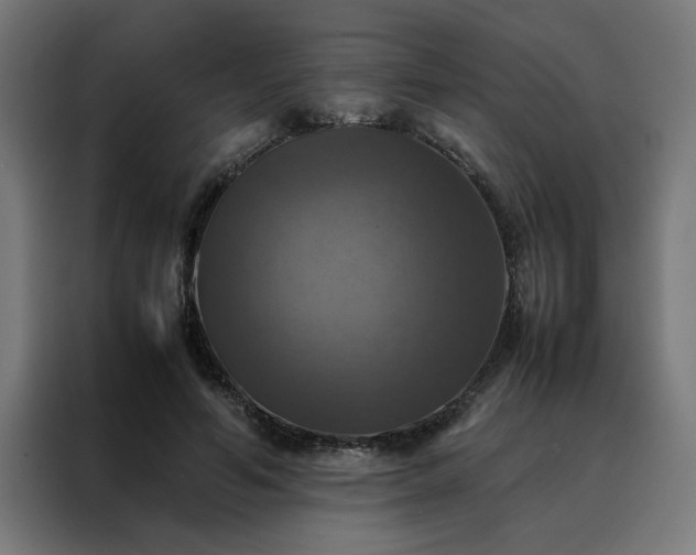 X0000088230594200705221826