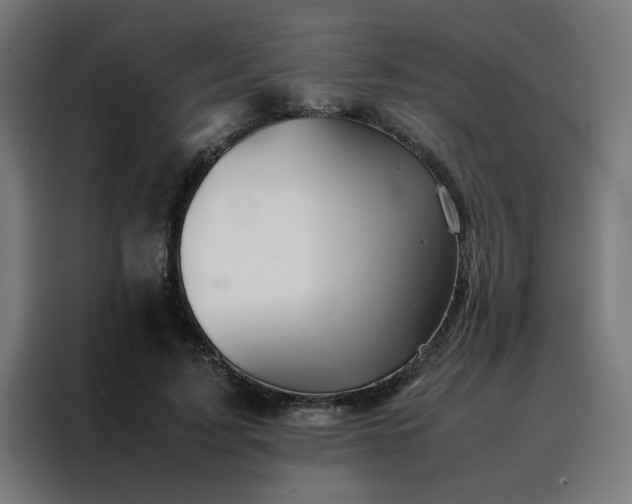 X0000088230595200705221826