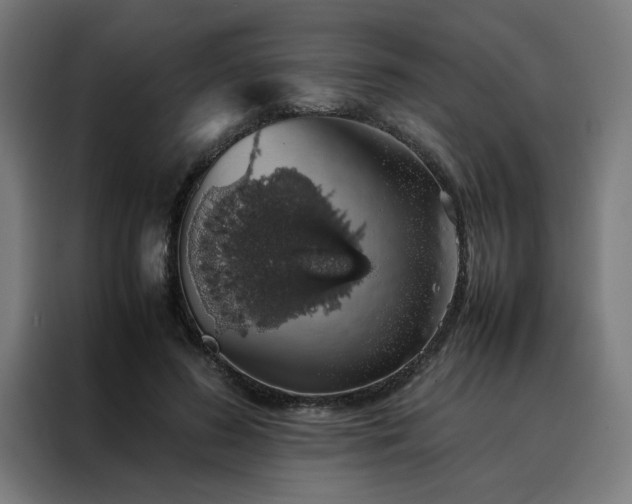 X0000088230596200705221826