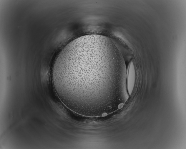 X0000088230597200705221826