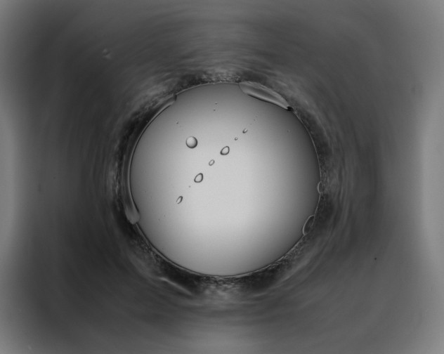 X0000088230599200705221826