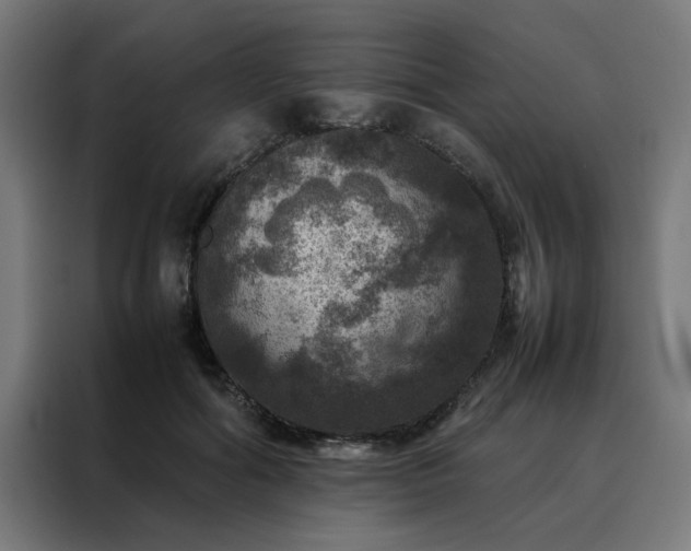 X0000088230602200705221826