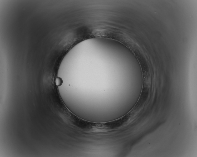 X0000088230603200705221826