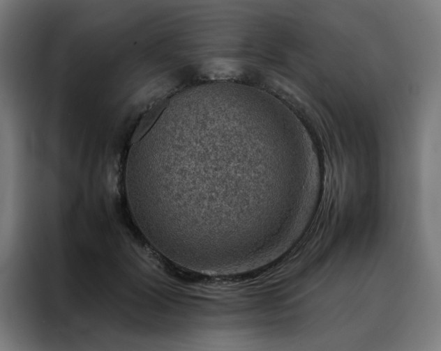 X0000088230604200705221826
