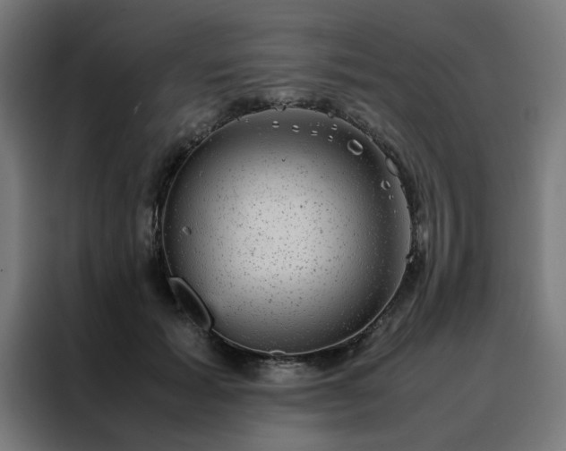 X0000088230605200705221826