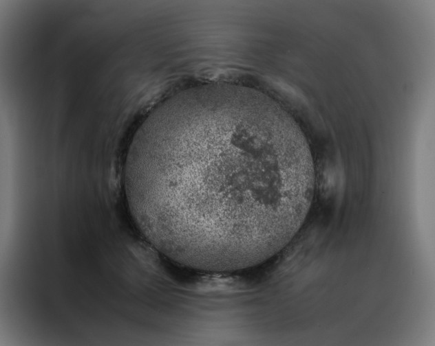 X0000088230607200705221826