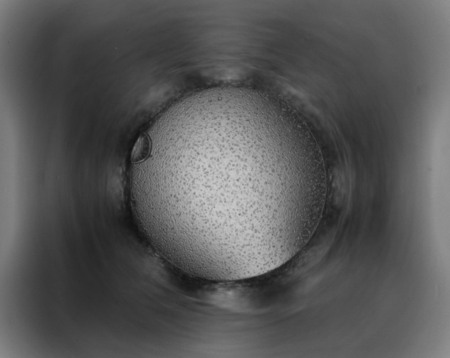 X0000088230612200705221826