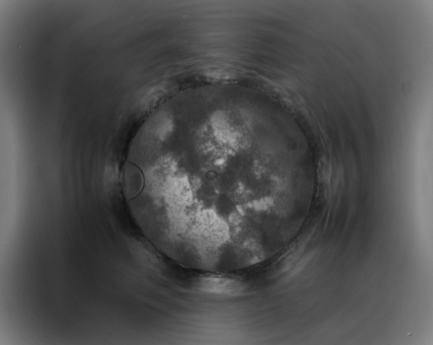 X0000088230614200705221826
