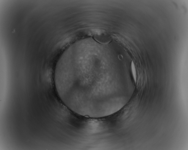 X0000088230616200705221826