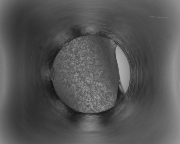 X0000088230617200705221826