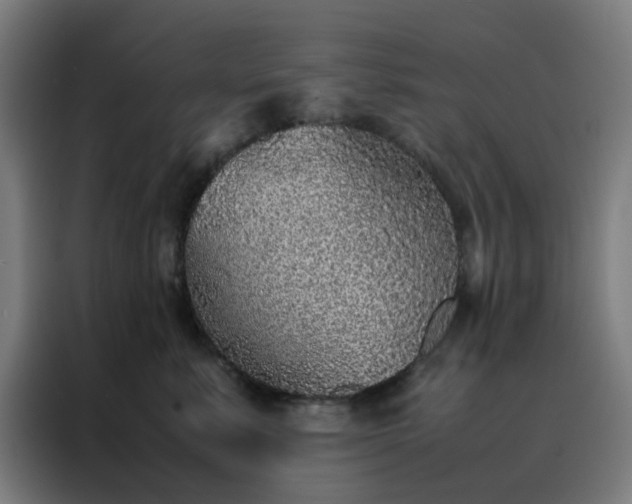 X0000088230619200705221825