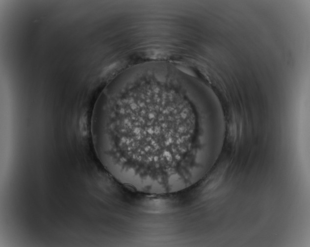 X0000088230620200705221825