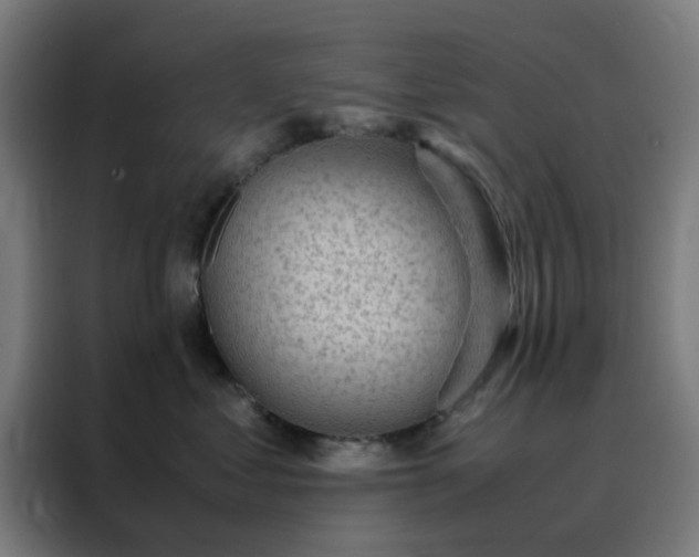 X0000088230621200705221825