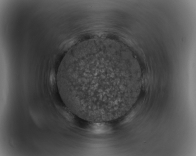 X0000088230623200705221825