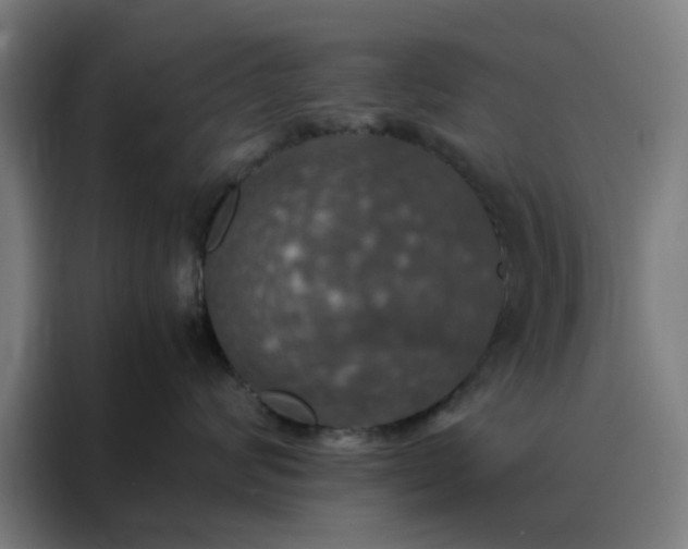 X0000088230624200705221825