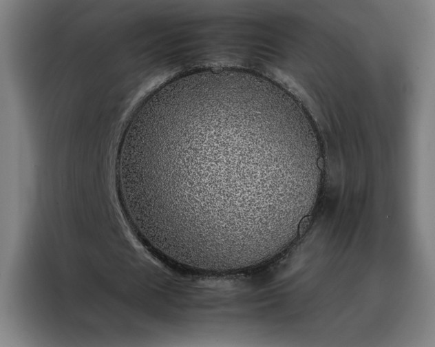 X0000088230625200705221825