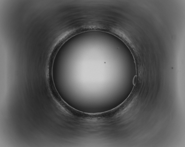X0000088230629200705221825