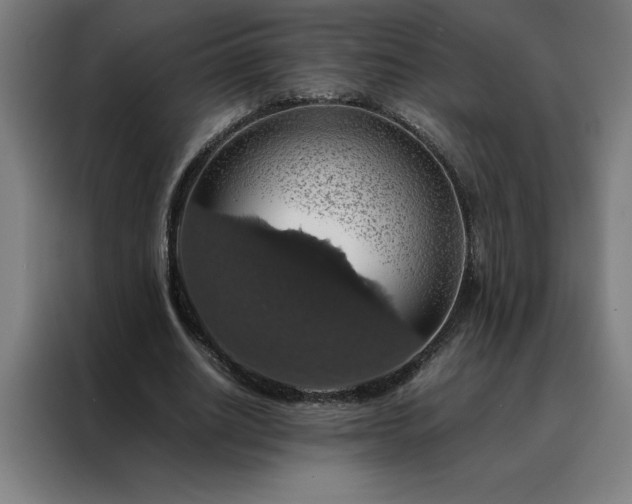 X0000088230630200705221825