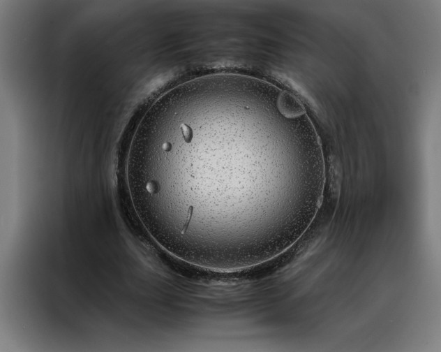 X0000088230631200705221825