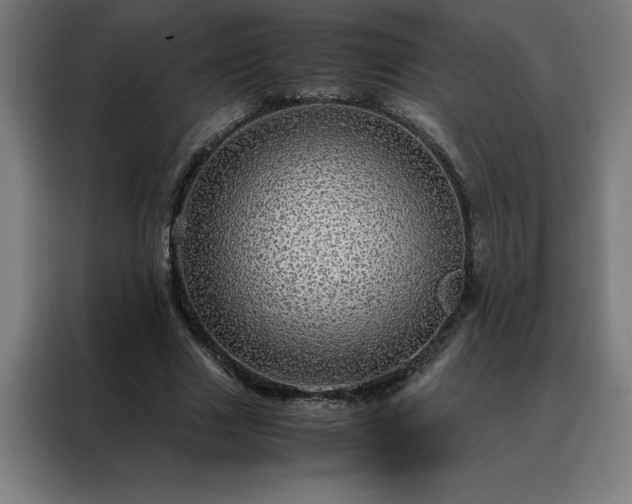 X0000088230633200705221825