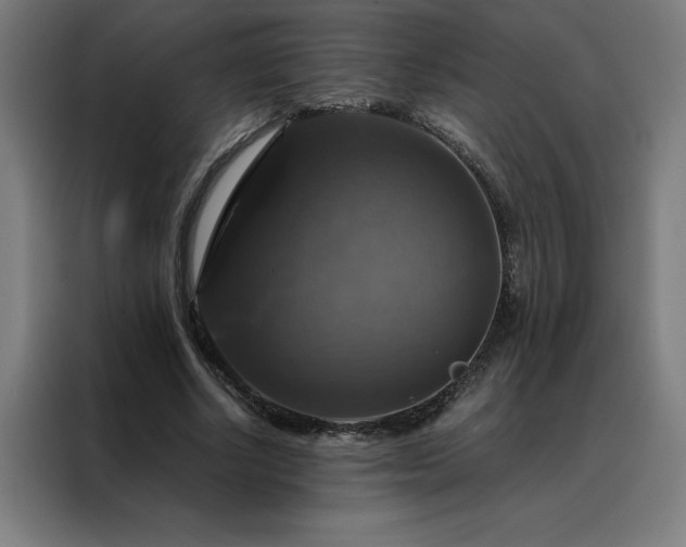 X0000088230634200705221825