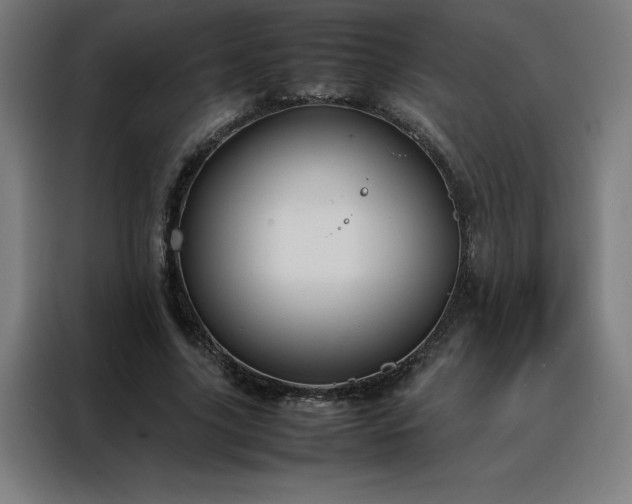 X0000088230635200705221825