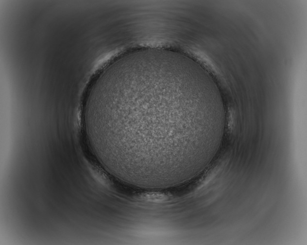 X0000088230636200705221825
