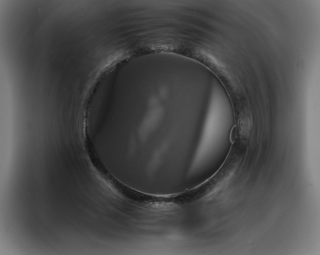 X0000088230637200705221825