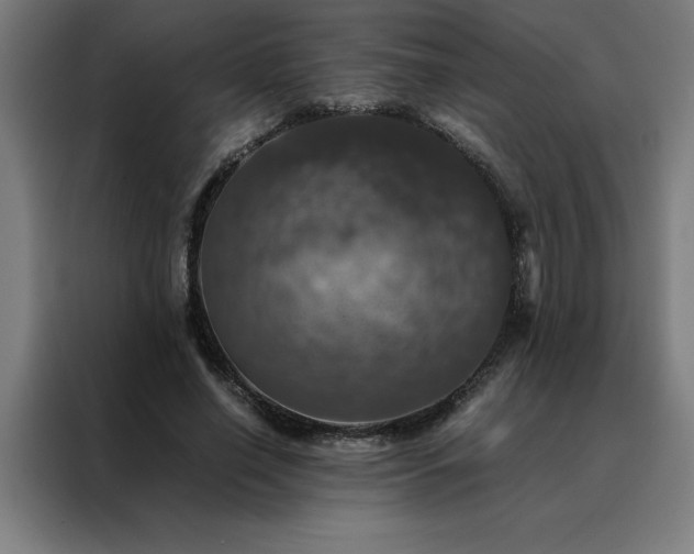 X0000088230638200705221825