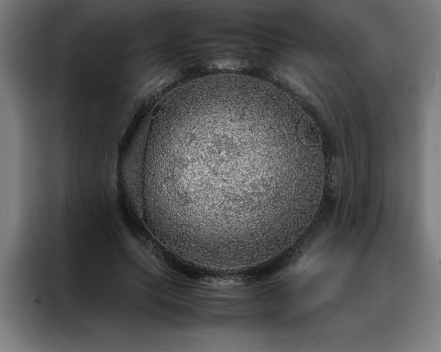 X0000088230639200705221825