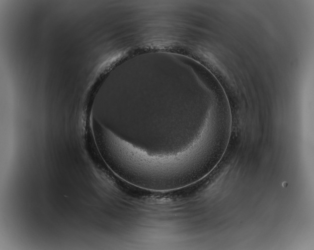X0000088230640200705221825