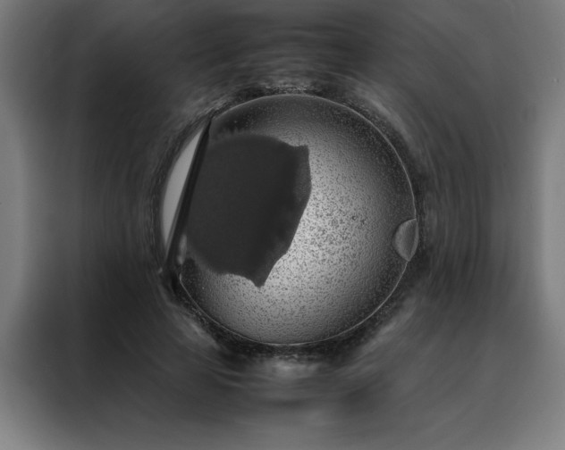 X0000088230641200705221825