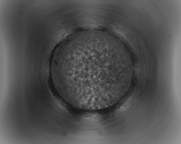 X0000088230642200705221825
