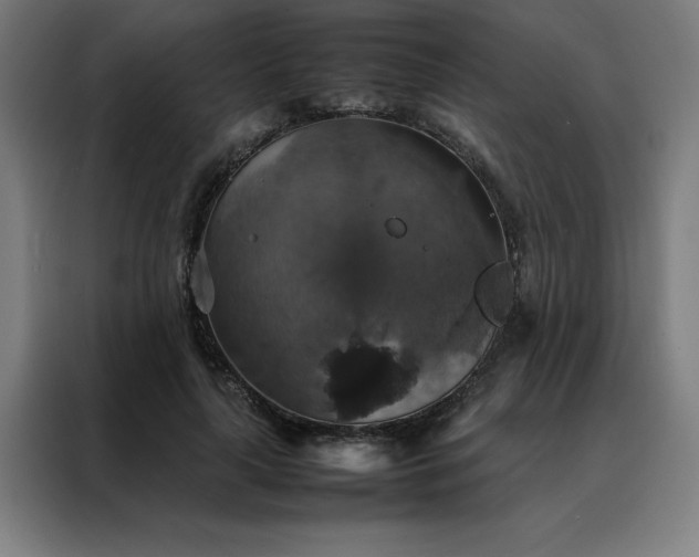 X0000088230643200705221825
