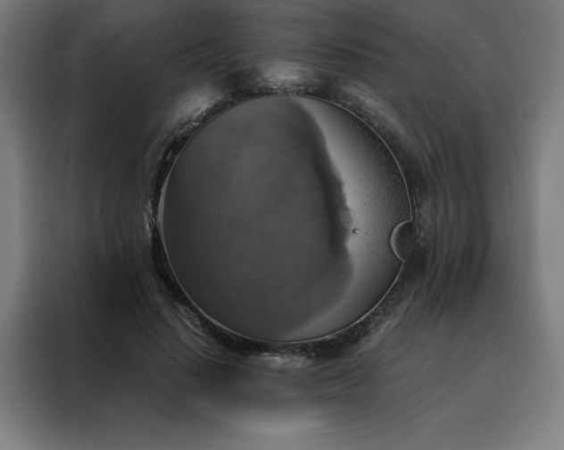 X0000088230644200705221825
