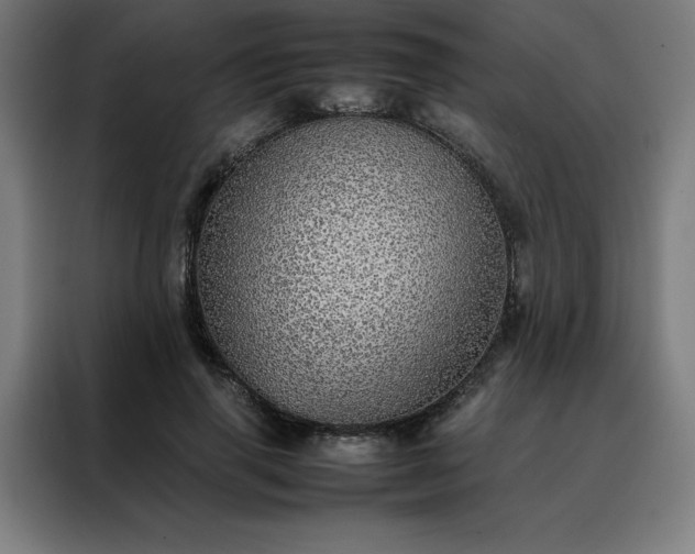 X0000088230645200705221825