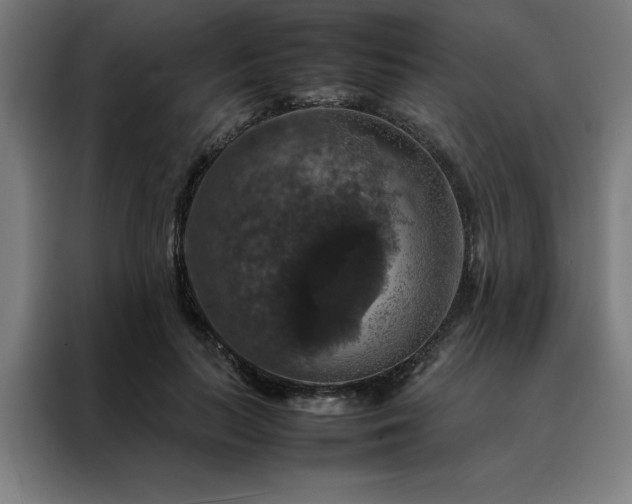 X0000088230647200705221825