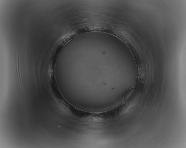 X0000088230648200705221825