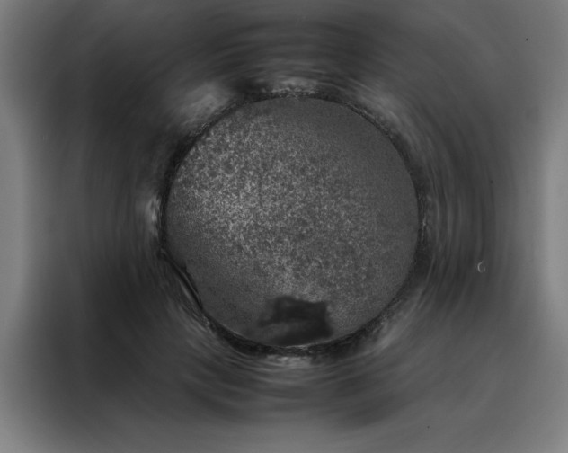X0000088230649200705221825