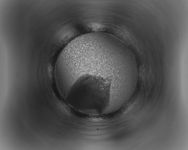X0000088230650200705221825