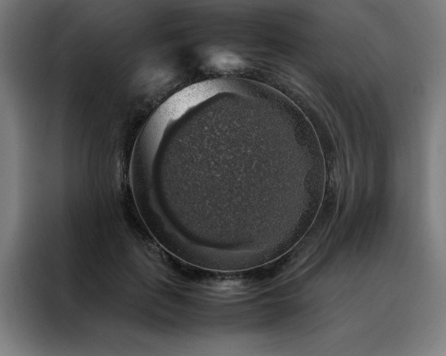 X0000088230651200705221825