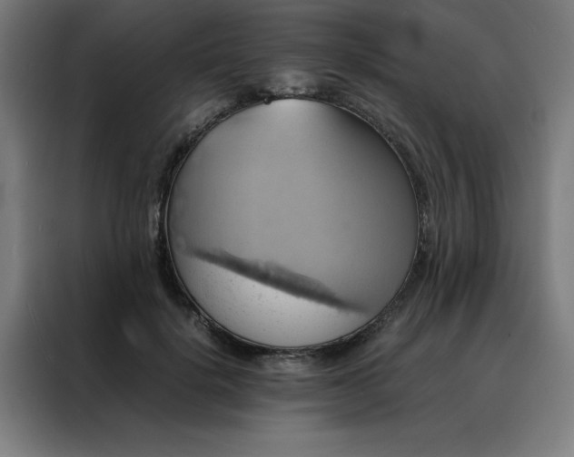 X0000088230652200705221825